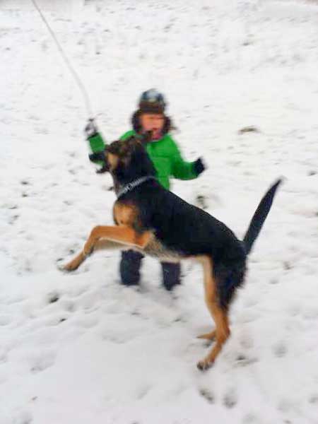 Hündin Hexe / © 2015 Privat