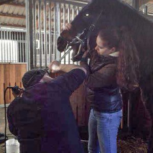 Gnadenhof-Pferd Sir Tobi beim Zahnarzt  / © 2015 Arche KaNaum (DN) Gnadenhof-Pferd Sir Tobi beim Zahnarzt / © 2015 Arche KaNaum (DN)