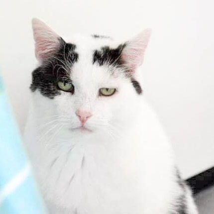 161023_karl-otto_002_v1kkt