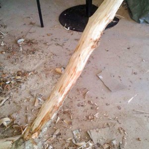 Material für die Natur-Kratzbäume Material für die Natur-Kratzbäume / © 2015 Arche KaNaum (DN)