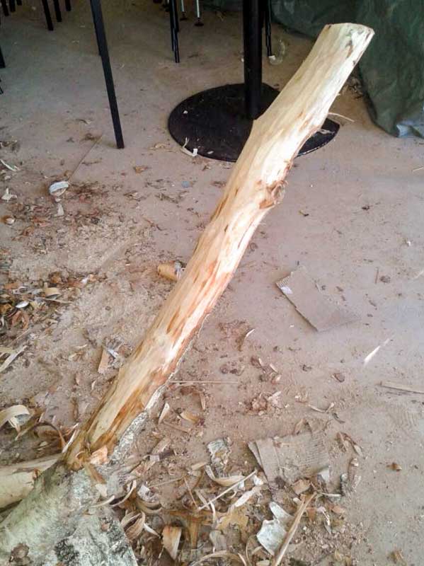 Material für die Natur-Kratzbäume / © 2015 Arche KaNaum (DN)