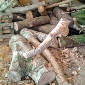 Material für die Natur-Kratzbäume Material für die Natur-Kratzbäume / © 2015 Arche KaNaum (DN)