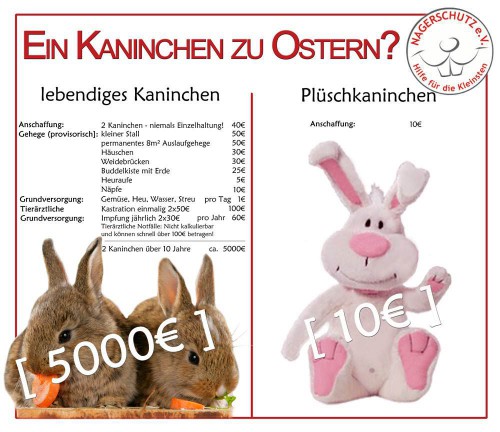 Ein Kaninchen zu Ostern? / © "Nagerschutz.de - Hilfe für die Kleinsten" 2015