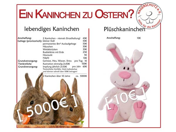 Ein Kaninchen zu Ostern?  /  © „Nagerschutz.de – Hilfe für die Kleinsten“ 2015 Ein Kaninchen zu Ostern? / © "Nagerschutz.de - Hilfe für die Kleinsten" 2015