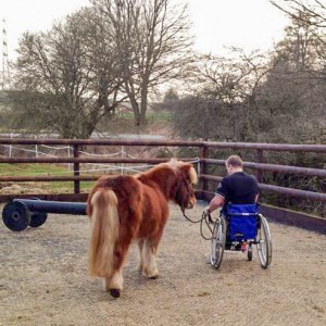 Dominik und Patenpony Filou beim Training  / © 2015 Arche KaNaum (DN) Dominik und Patenpony Filou beim Training / © 2015 Arche KaNaum (DN)