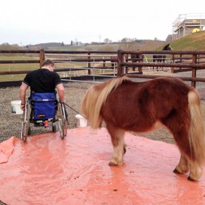 Dominik und Patenpony Filou beim Training  / © 2015 Arche KaNaum (DN) Dominik und Patenpony Filou beim Training / © 2015 Arche KaNaum (DN)