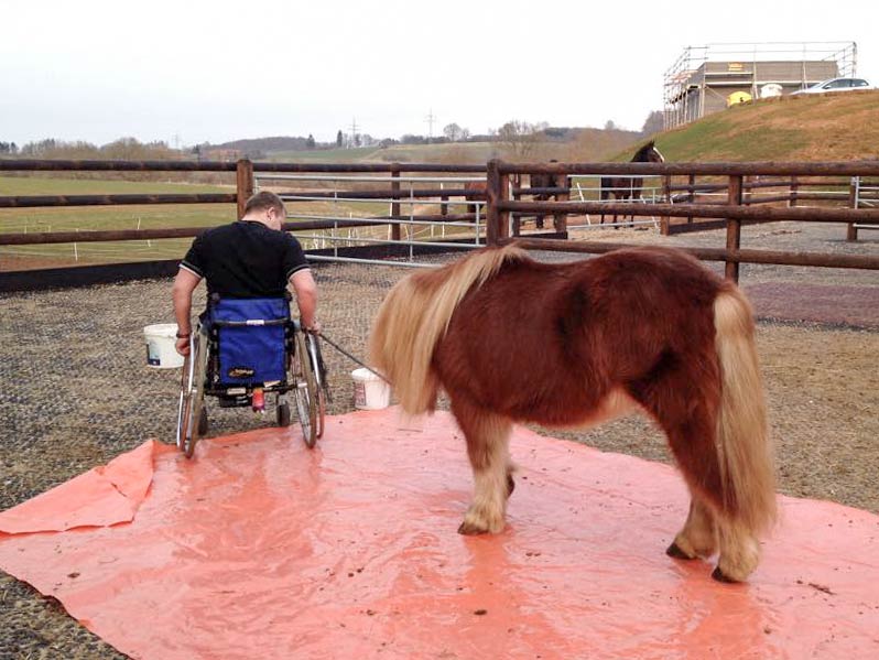 Dominik und Patenpony Filou beim Training / © 2015 Arche KaNaum (DN)