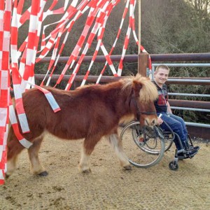 Dominik und Patenpony Filou beim Training  / © 2015 Arche KaNaum (DN) Dominik und Patenpony Filou beim Training / © 2015 Arche KaNaum (DN)