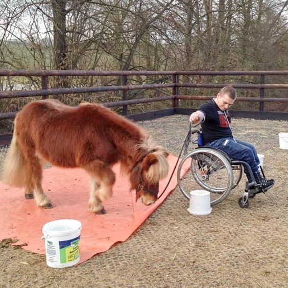 Dominik und Patenpony Filou beim Training  / © 2015 Arche KaNaum (DN) Dominik und Patenpony Filou beim Training / © 2015 Arche KaNaum (DN)