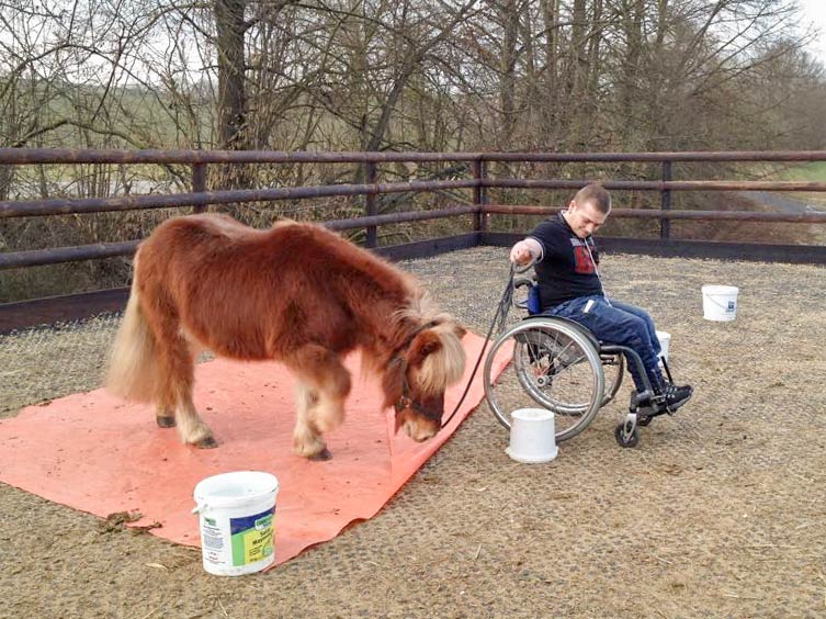 Dominik und Patenpony Filou beim Training / © 2015 Arche KaNaum (DN)