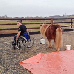 Dominik und Patenpony Filou beim Training  / © 2015 Arche KaNaum (DN) Dominik und Patenpony Filou beim Training / © 2015 Arche KaNaum (DN)