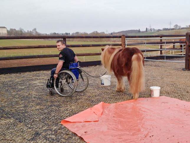 Dominik und Patenpony Filou beim Training / © 2015 Arche KaNaum (DN)