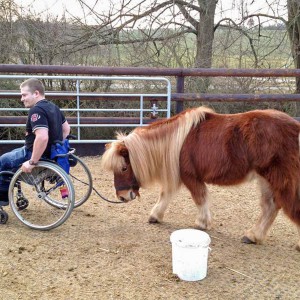 Dominik und Patenpony Filou beim Training  / © 2015 Arche KaNaum (DN) Dominik und Patenpony Filou beim Training / © 2015 Arche KaNaum (DN)