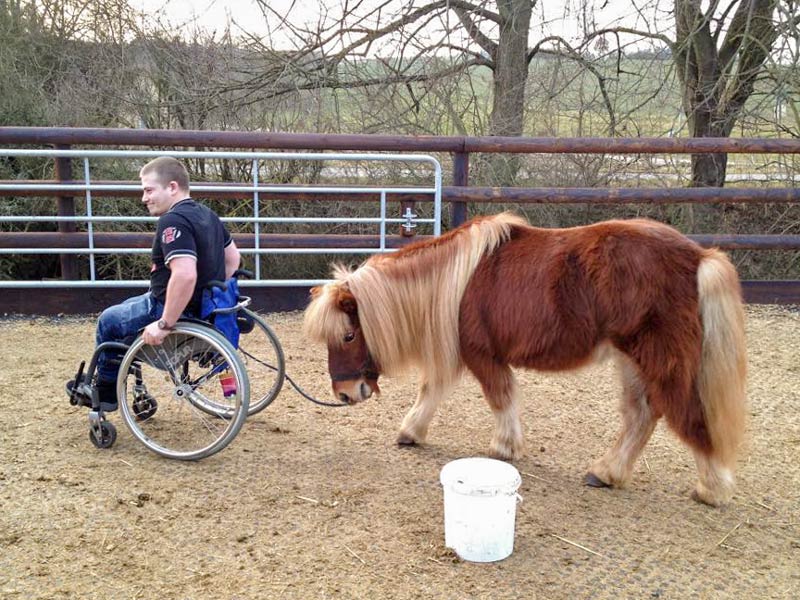 Dominik und Patenpony Filou beim Training / © 2015 Arche KaNaum (DN)