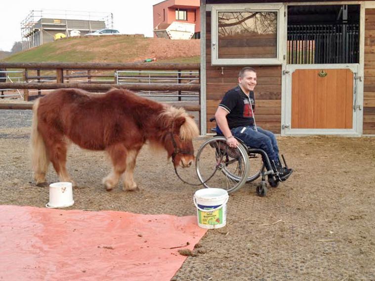 Dominik und Patenpony Filou beim Training / © 2015 Arche KaNaum (DN)