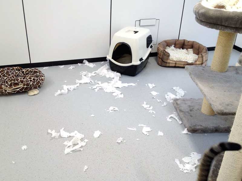 Wie schön man doch mit einer Küchenrolle spielen kann ... / © 2015 Arche KaNaum (DN)