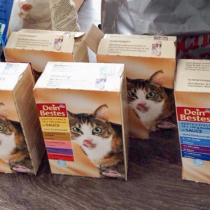 Danke für die Spenden! / © 2015 Arche KaNaum (DN) Danke für die Spenden! / © 2015 Arche KaNaum (DN)