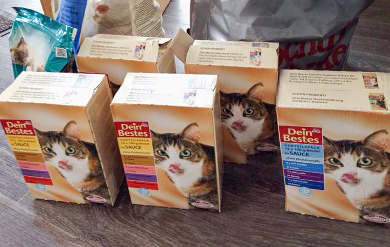 Danke für die Spenden! / © 2015 Arche KaNaum (DN)