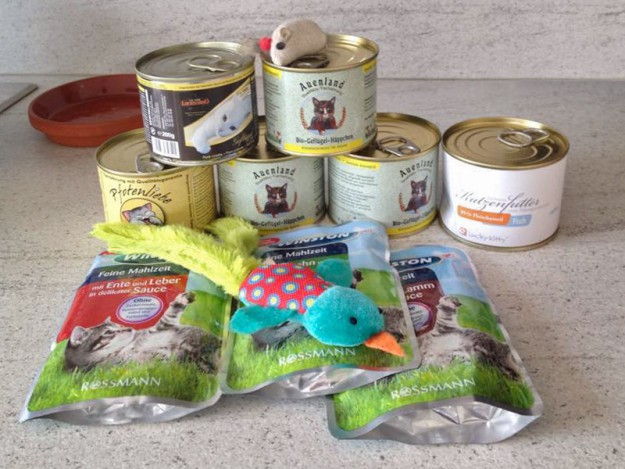 Danke für die Spenden! / © 2015 Arche KaNaum (DN)