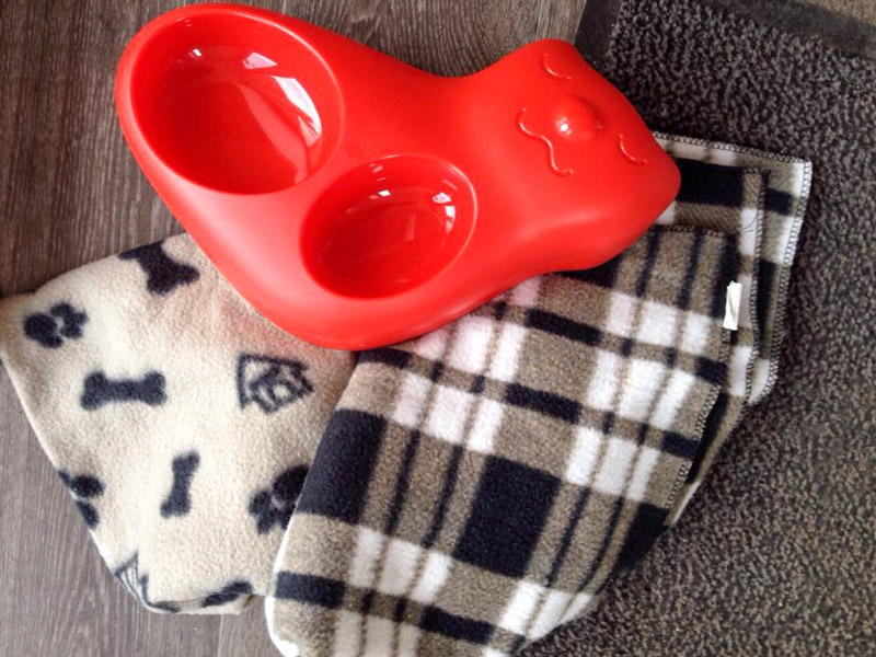 Danke für die Spenden! / © 2015 Arche KaNaum (DN)