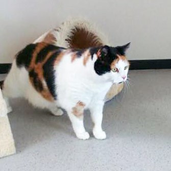 Kätzin Finnie / © 2015 Arche KaNaum (DN)