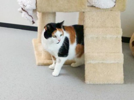 Kätzin Finnie / © 2015 Arche KaNaum (DN)