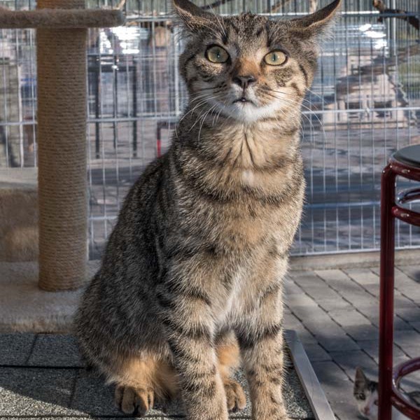 Kater Carlson / © 2015 Arche KaNaum (NH)