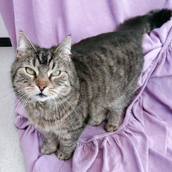 Kätzin Mika / © 2017 Arche KaNaum (SK)