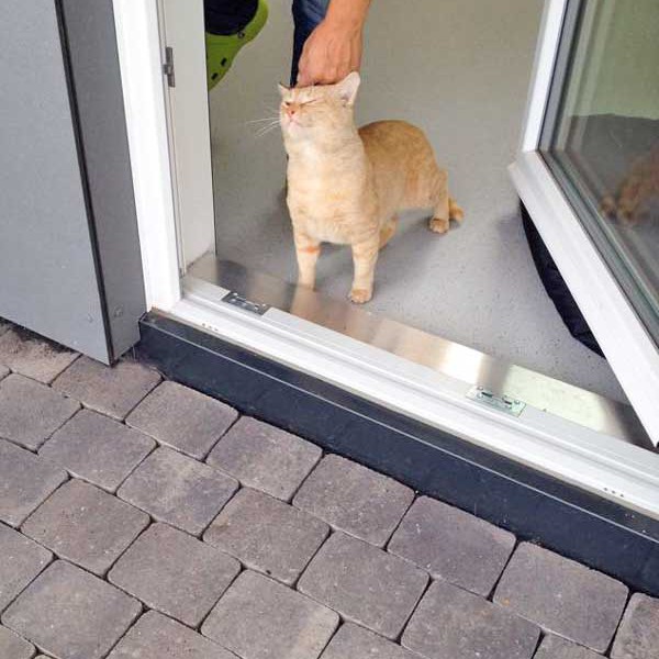 Kater Janbo / © 2015 Arche KaNaum (DN) Kater Janbo / © 2015 Arche KaNaum (DN)