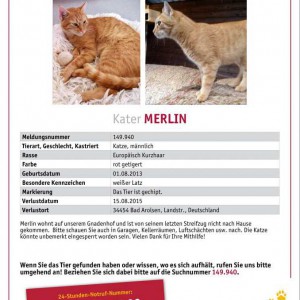 Vermisst: Kater Merlin (149.940) / © 2015 TASSO e.V.
