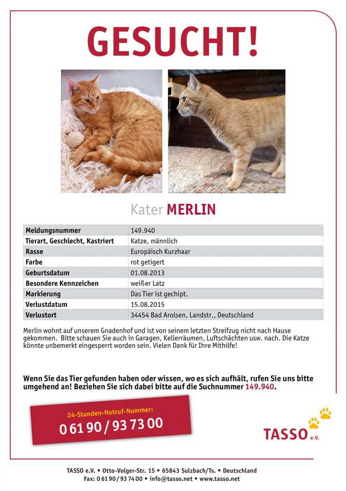 Vermisst: Kater Merlin (149.940) / © 2015 TASSO e.V.