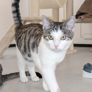 Katerchen Moses / © 2015 Arche KaNaum (NH) Katerchen Moses / © 2015 Arche KaNaum (NH)