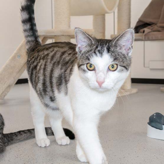 Katerchen Moses / © 2015 Arche KaNaum (NH)