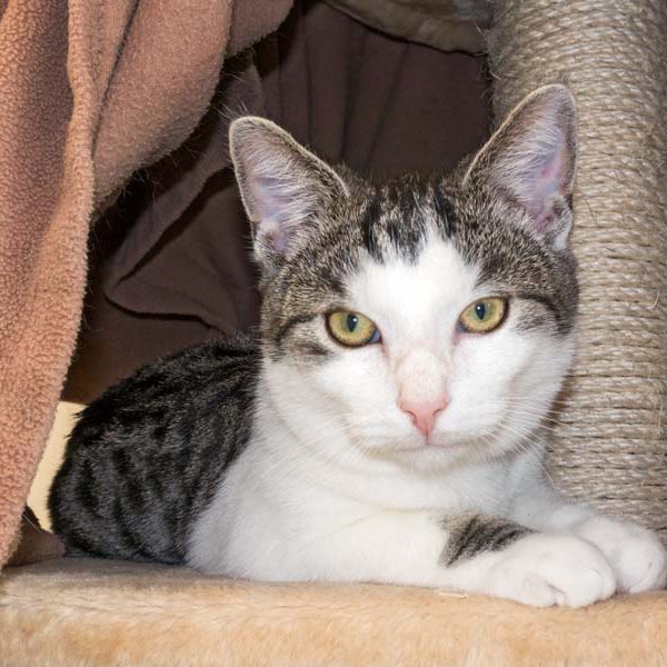 Katerchen Moses / © 2015 Arche KaNaum (NH)