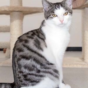 Katerchen Moses / © 2015 Arche KaNaum (NH) Katerchen Moses / © 2015 Arche KaNaum (NH)