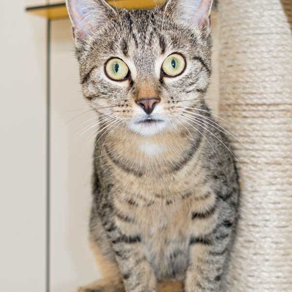 Kater Cooper / © 2015 Arche KaNaum (NH) Kater Cooper / © 2015 Arche KaNaum (NH)