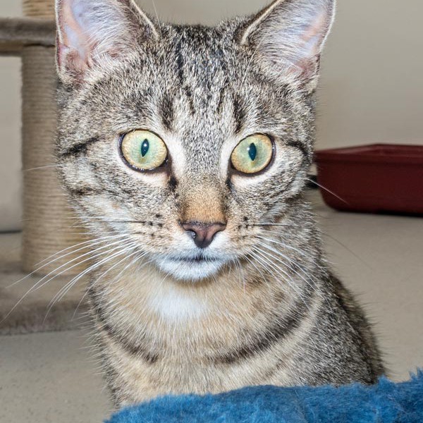 Kater Cooper / © 2015 Arche KaNaum (NH) Kater Cooper / © 2015 Arche KaNaum (NH)