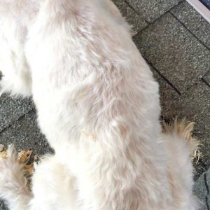 Und auch Lumpi – viel zu dünn!  / © 2015 Arche KaNaum (DN) Und auch Lumpi - viel zu dünn! / © 2015 Arche KaNaum (DN)