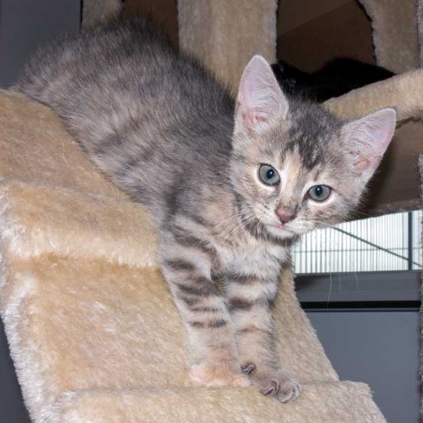 Kätzin Farina / © 2015 Arche KaNaum (NH) Kätzin Farina / © 2015 Arche KaNaum (NH)