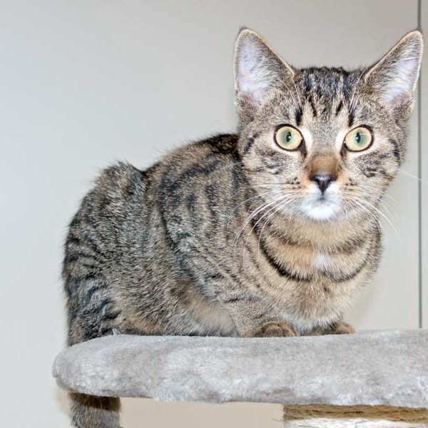 Kater Carlson / © 2015 Arche KaNaum (NH)