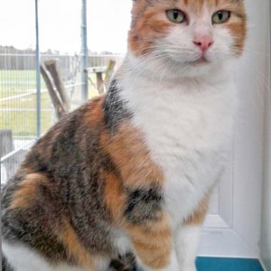 Kätzin Mary  / © 2016 Arche KaNaum (DN) Kätzin Mary / © 2016 Arche KaNaum (DN)