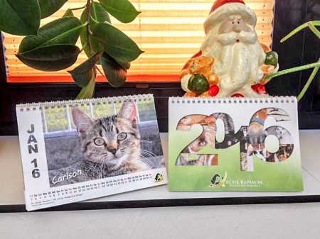 Der Arche-Kalender 2016 / © 2015 Arche KaNaum (DN)