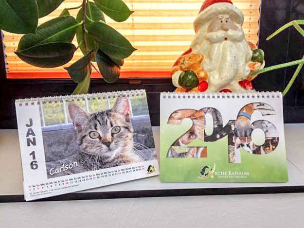 Der Arche-Kalender 2016 / © 2015 Arche KaNaum (DN)