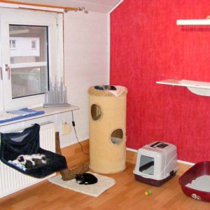 Bei der Tiernothilfe Breuna e.V. / © 2015 Tiernothilfe Breuna e.V. Bei der Tiernothilfe Breuna e.V. / © 2015 Tiernothilfe Breuna e.V.