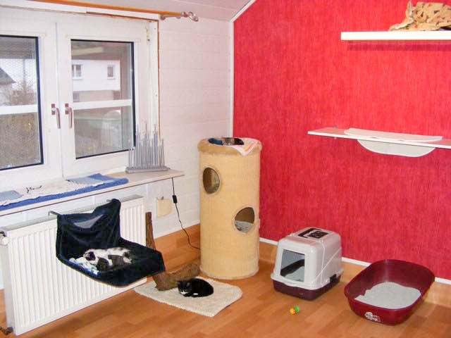 Bei der Tiernothilfe Breuna e.V. / © 2015 Tiernothilfe Breuna e.V.