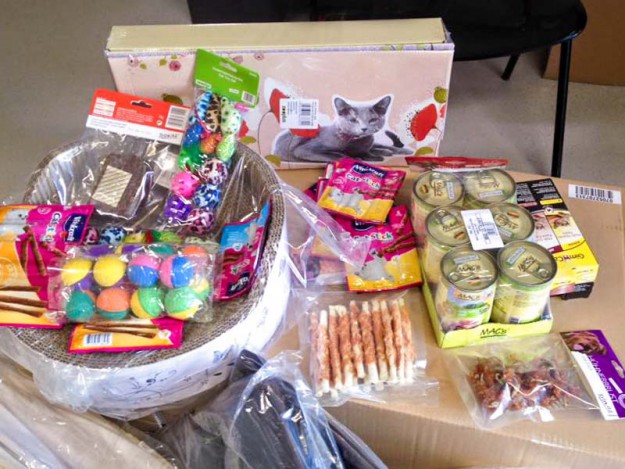 Tausend Dank, Suzanne Ortner! / © 2015 Arche KaNaum (DN)