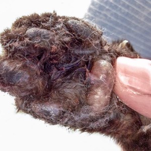 ... und nach der Behandlung / © 2015 Arche KaNaum (DN)