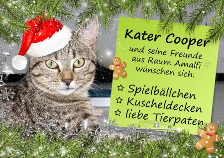 Die kleinen Weihnachtswünsche unserer Schützlinge aus Raum Amalfi / © 2015 Arche KaNaum (NH)