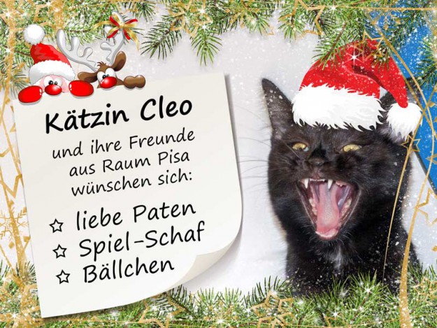 Die kleinen Weihnachtswünsche unserer Schützlinge aus Raum Pisa / © 2015 Arche KaNaum (NH)