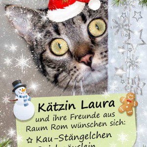 Die kleinen Weihnachtswünsche unserer Schützlinge aus Raum Rom / © 2015 Arche KaNaum (NH) Die kleinen Weihnachtswünsche unserer Schützlinge aus Raum Rom / © 2015 Arche KaNaum (NH)